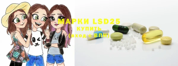 ПСИЛОЦИБИНОВЫЕ ГРИБЫ Сясьстрой