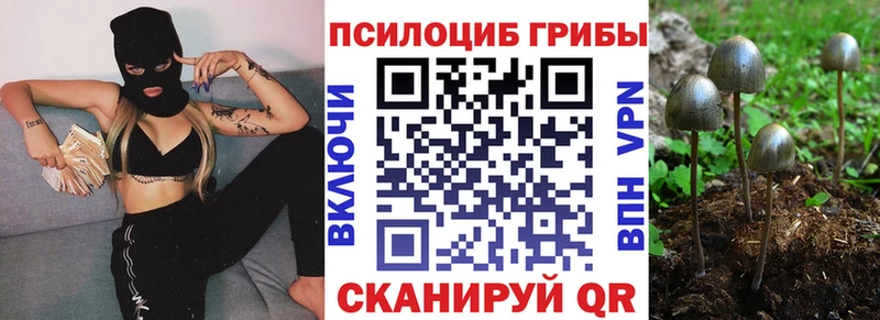 Псилоцибиновые грибы Psilocybine cubensis  Краснослободск 